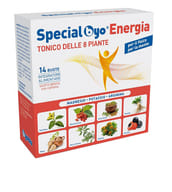 SPECIAL BYO ENERGIA CON EDULCORANTI 14 BUSTE