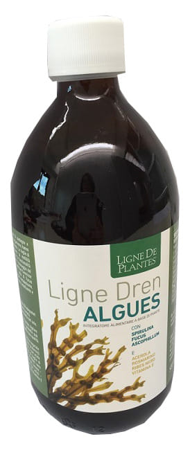 LIGNE DREN ALGUES 500 ML