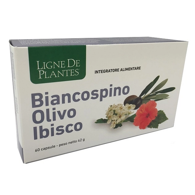 Biancospino Olivo Ibisco 60 Capsule