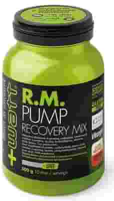 RM PUMP RECOVERY MIX ARANCIA 500 G