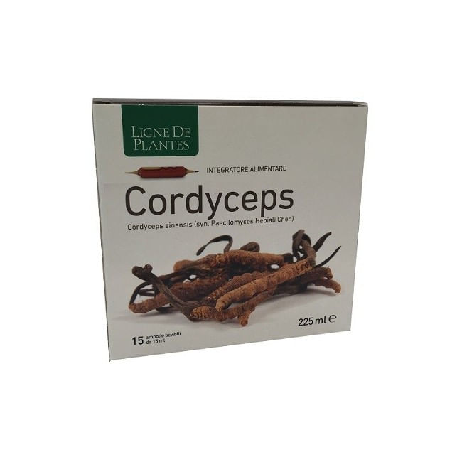 CORDYCEPS 15 AMPOLLE BEVIBILI DA 15 ML