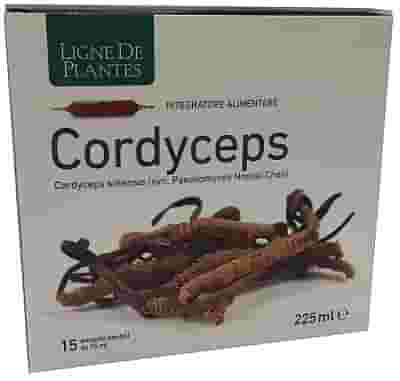 CORDYCEPS 15 AMPOLLE BEVIBILI DA 15 ML