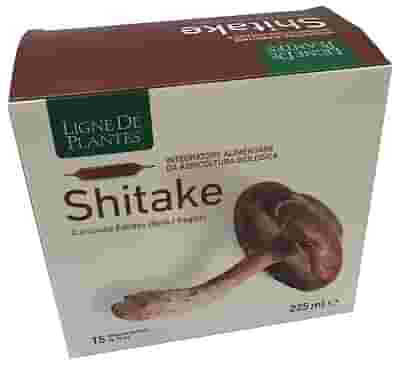 LIGNE DE PLANTES SHITAKE BIO 15 AMPOLLE DA 15 ML