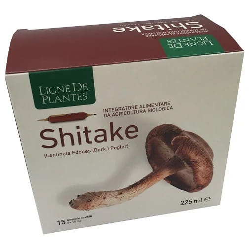 Ligne De Plantes Shitake Bio 15 Ampolle Da 15 Ml