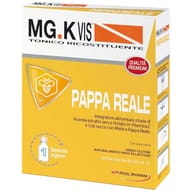 MGK VIS TONICO RICOSTITUENTE PAPPA REALE 10 FLACONCINI DA 10 ML