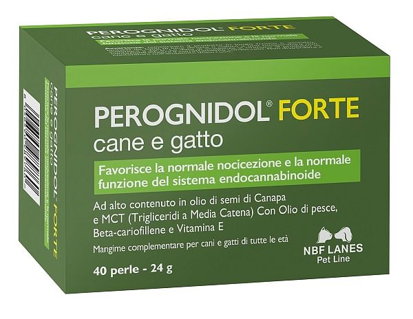 Perognidol Forte Perle