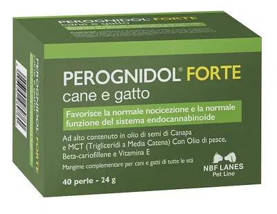 PEROGNIDOL FORTE PERLE PEROGNIDOL FORTE PERLE