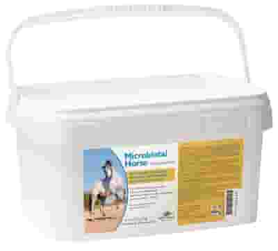 MICROBIOTAL HORSE 20 BUSTINE DA 60 G