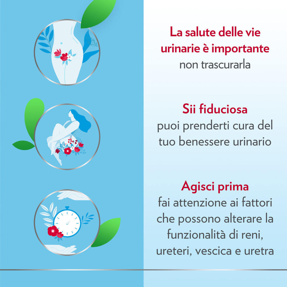 GYNO-CANESCYSTIL CISTIPRO 14 BUSTINE