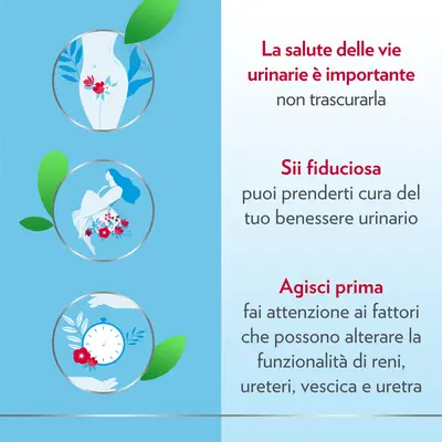 GYNO-CANESCYSTIL CISTIPRO 14 BUSTINE GYNO-CANESCYSTIL CISTIPRO 14 BUSTINE