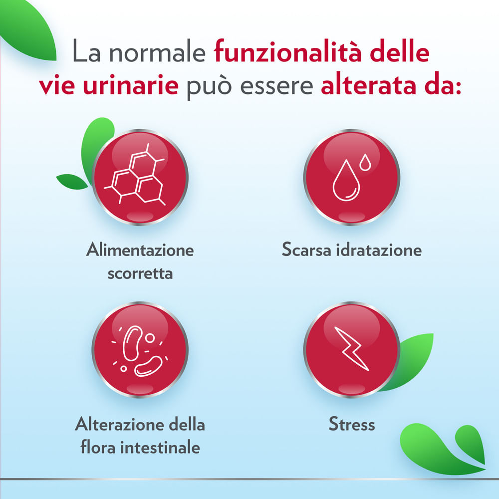 GYNO-CANESCYSTIL CISTIPRO 14 BUSTINE