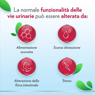 GYNO-CANESCYSTIL CISTIPRO 14 BUSTINE GYNO-CANESCYSTIL CISTIPRO 14 BUSTINE