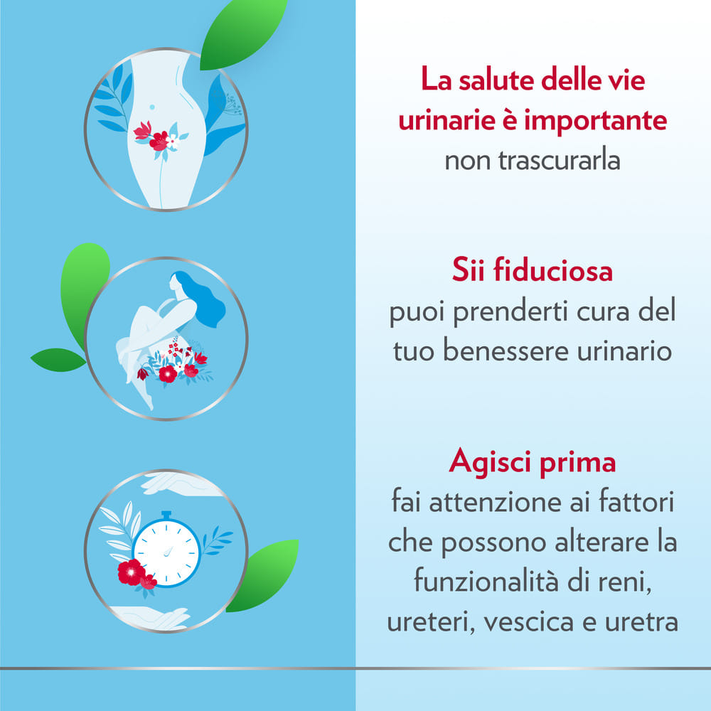 GYNO-CANESCYSTIL CISTIPRO 14 BUSTINE