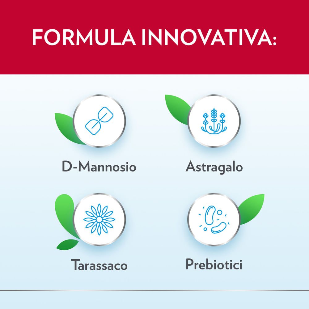 GYNO-CANESCYSTIL CISTIPRO 14 BUSTINE