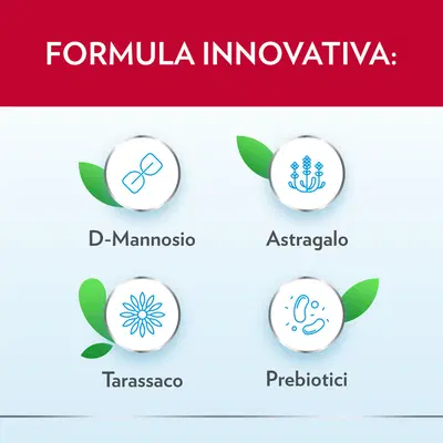 GYNO-CANESCYSTIL CISTIPRO 14 BUSTINE GYNO-CANESCYSTIL CISTIPRO 14 BUSTINE