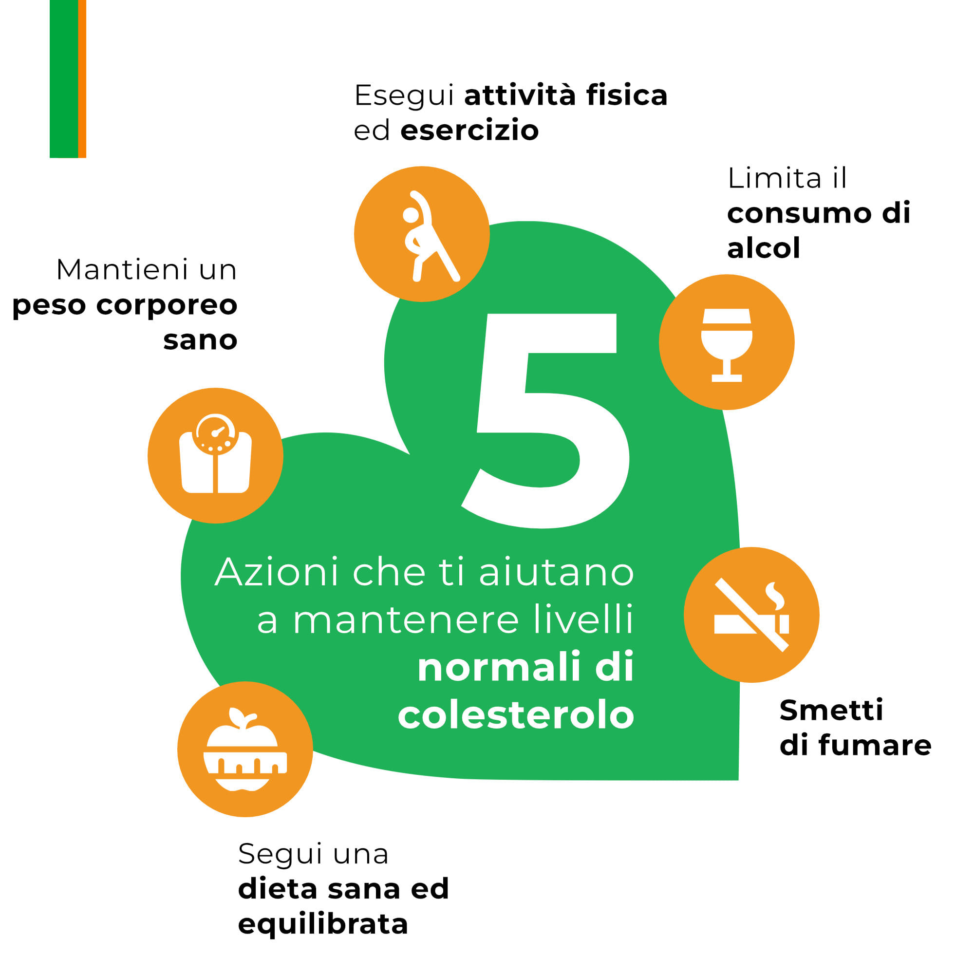 ARMOLIPID PLUS 70 COMPRESSE