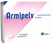 ARMIPELV 20 COMPRESSE