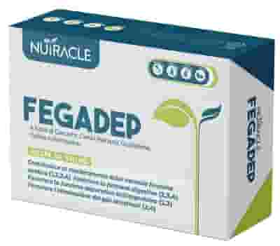 NUTRACLE FEGADEP 40 COMPRESSE DA 550 MG