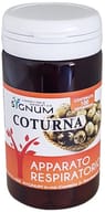 COTURNA 100 COMPRESSE