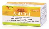 APIVITAL 15 STICK PACK DA 20 ML