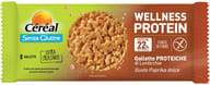 CEREAL WELLNESS PROTEIN GALLETTE PROTEICHE DI LENTICCHIE GUSTO PAPRIKA DOLCE 82 G