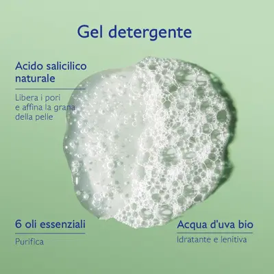 VINOPURE GEL DETERGENTE PURIFICANTE 385 ML VINOPURE GEL DETERGENTE PURIFICANTE 385 ML