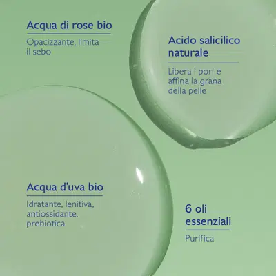 VINOPURE LOZIONE PURIFICANTE 200 ML VINOPURE LOZIONE PURIFICANTE 200 ML