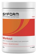 WORKOUT LIMONE POLVERE 360 G
