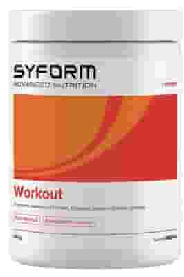 WORKOUT LIMONE POLVERE 360 G