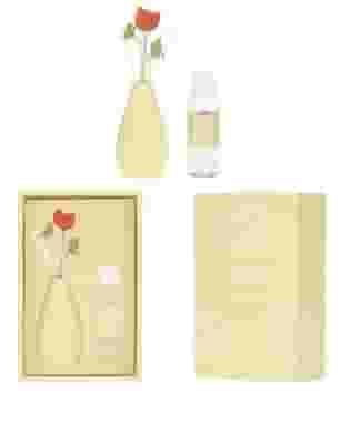 DIFFUSORE BULBO GIALLO DA 100ML 2025