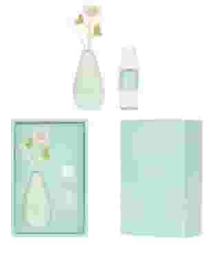 DIFFUSORE BULBO VERDE DA 100ML 2025