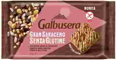 GRAN SARACENO BISCOTTO CON GOCCE DI CIOCCOLATO 260 G