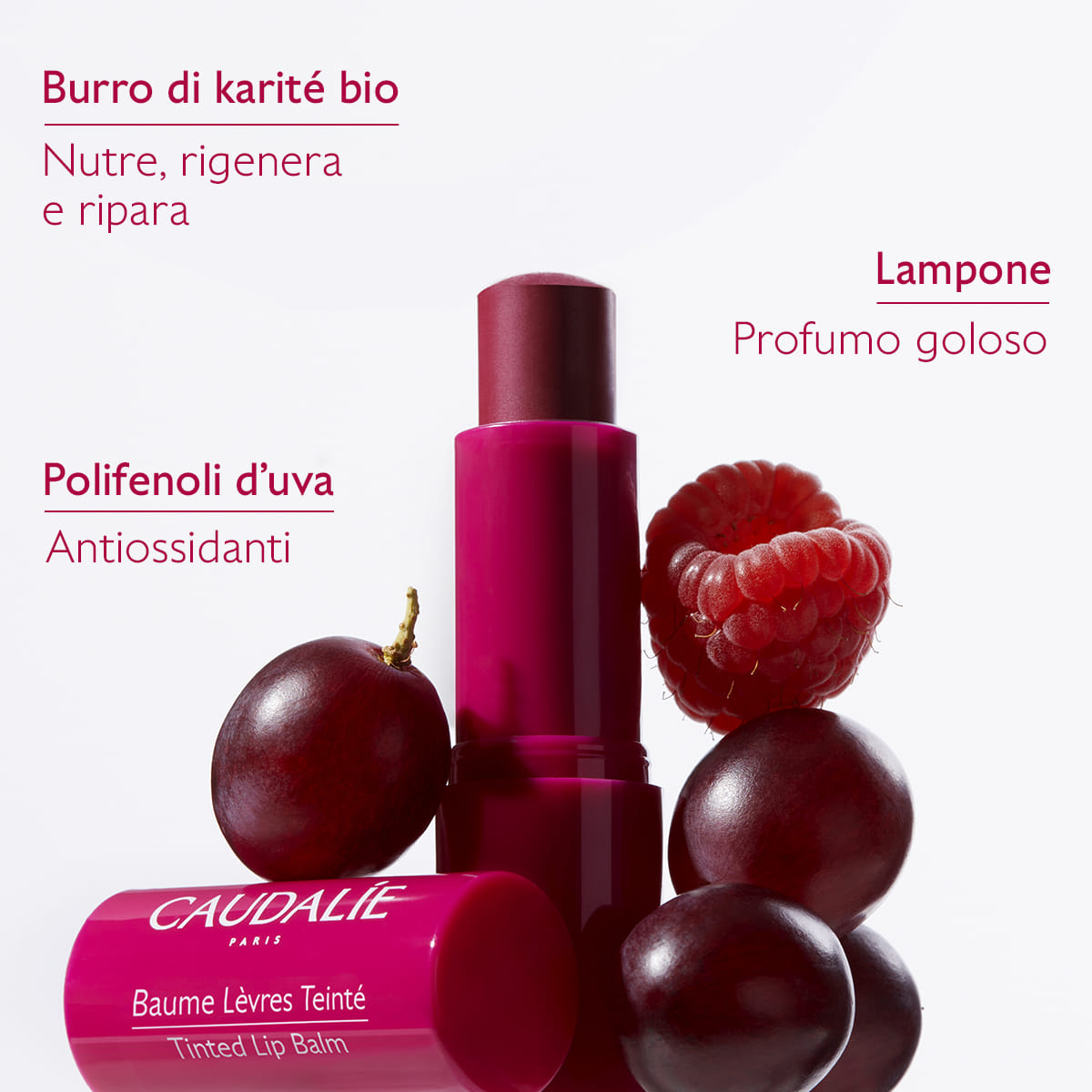 CAUDALIE BALSAMO LABBRA COLORATO 4,5 G