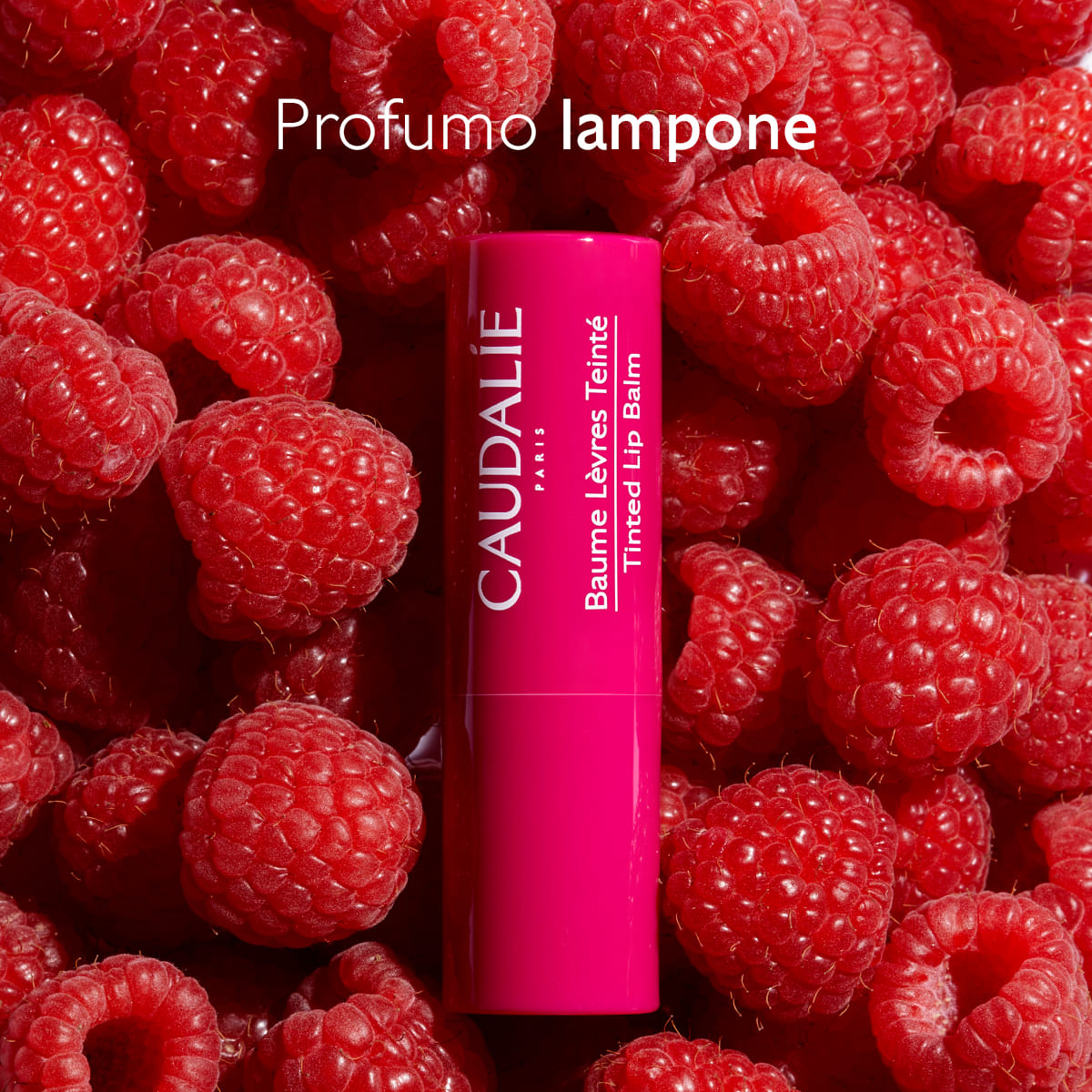 CAUDALIE BALSAMO LABBRA COLORATO 4,5 G