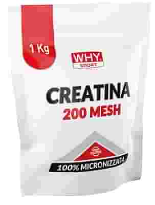 WHYSPORT CREATINA 200 MESH 1 KG