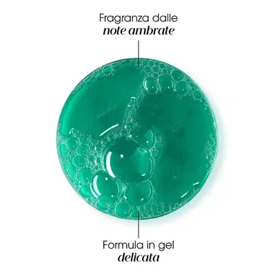 KLORANE SHAMPOO TRATTANTE & RIEQUILIBRANTE GALANGA 400 ML 25 KLORANE SHAMPOO TRATTANTE & RIEQUILIBRANTE GALANGA 400 ML 25