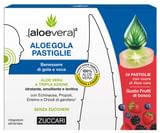 ALOEGOLA FRUTTI ROSSI 20 PASTIGLIE DA 2,5 G