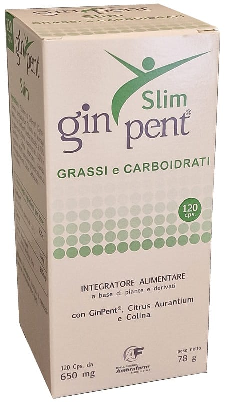 GINPENT SLIM 120 CAPSULE 650 MG