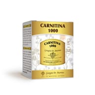 CARNITINA 1000 POLVERE SOLUBILE 100 G