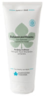 BALSAMO PURIFICANTE 200 ML