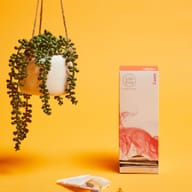 Cuore Sano – Nutrire e Proteggere il Tuo Sistema Cardiovascolare 120 CAPSULE