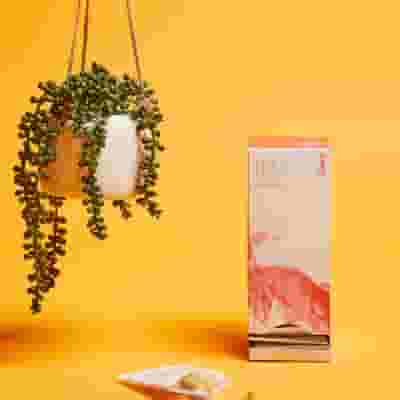 Cuore Sano – Nutrire e Proteggere il Tuo Sistema Cardiovascolare 120 CAPSULE