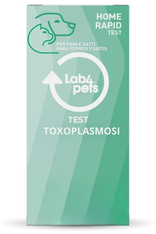 LAB4PETS TEST RAPIDO TOXOPLASMOSI CANI/GATTI