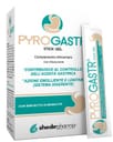 PYROGASTR 20 STICK GEL DA 15 ML