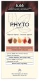 COLOR KIT PHYTOCOLOR 6,66 CASTANO INTENSO ROSSO CILIEGIA 1 LATTE RIVELATORE 50 ML + 1 CREMA COLORANTE 50 ML + 1 MASCHERA PROLUNGA COLORE 10 ML + 1 PAIO DI GUANTI