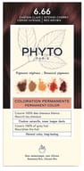 COLOR KIT PHYTOCOLOR 6,66 CASTANO INTENSO ROSSO CILIEGIA 1 LATTE RIVELATORE 50 ML + 1 CREMA COLORANTE 50 ML + 1 MASCHERA PROLUNGA COLORE 10 ML + 1 PAIO DI GUANTI