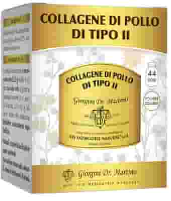 COLLAGENE POLLO TIPO II 100 G