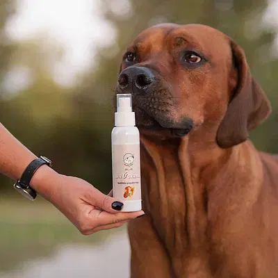FLUFFY PET BAUCIAMI DENTIFRICIO SPRAY ALITO FRESCO 50 ML FLUFFY PET BAUCIAMI DENTIFRICIO SPRAY ALITO FRESCO 50 ML