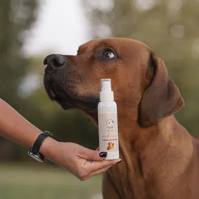 FLUFFY PET BAUCIAMI DENTIFRICIO SPRAY ALITO FRESCO 50 ML FLUFFY PET BAUCIAMI DENTIFRICIO SPRAY ALITO FRESCO 50 ML