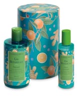 GIN BOTANICALS BEAUTY BOX BACCHE DI GINEPRO EDIZIONE LIMITATA 1 BAGNOGEL 300 ML + 1 LOZIONE DEODORANTE 100 ML